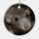 Suche nach ratte ornamente Fotografie