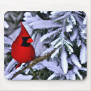 Suche nach roter kardinal mousepads Jede person