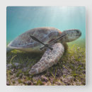 Suche nach bayern wanduhren Ocean