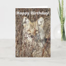 Suche nach raubtier karten Naturfotografie