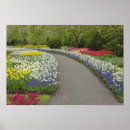Suche nach keukenhof poster Adam jones