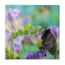 Suche nach monarchfalter fliesen Blume