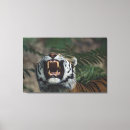 Suche nach heulen leinwandbilder Natur