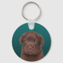 Suche nach schokolade labrador schlüsselanhänger Schokoladenlabrador