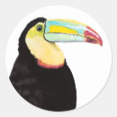 Suche nach toucan aufkleber Aquarell