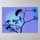 Suche nach spottdrossel poster Vogel