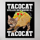 Suche nach rückwärts poster Katzen