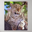 Suche nach delta poster Afrika