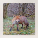 Suche nach niedlicher fuchs puzzle Natur