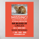 Suche nach personalisierte katzen poster Jede person
