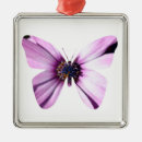 Suche nach lila schmetterling ornamente Natur