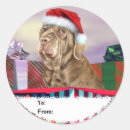 Suche nach mastiff geschenkverpackung Urlaub