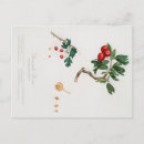 Suche nach botanischer druck postkarten Für sie