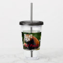 Suche nach firefox Roter panda