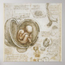 Suche nach leonardo da vinci poster Italienisch