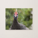 Suche nach roter vogel puzzle Für kinder