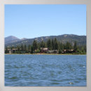 Suche nach big bear poster Foto