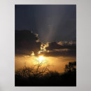 Suche nach strahlen poster Baum