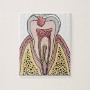 Suche nach zahn puzzle Von nahem