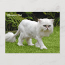 Suche nach perser postkarten Für alle