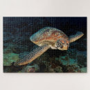 Suche nach schildkröten puzzle Meereswelt