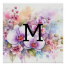 Suche nach orchideen blume poster Botanisch