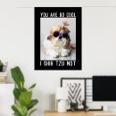 Suche nach lustige hunde poster Haustiere