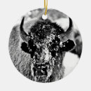 Suche nach yellowstone ornamente Montana