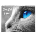 Suche nach auge kalender Katze