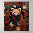 Suche nach red panda poster Wildtiere