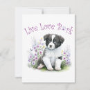 Suche nach border collie kleine grußkarten Hund