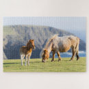 Suche nach fohlen puzzle Ranch
