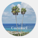 Suche nach cozumel aufkleber Karibisch