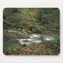 Suche nach river mousepads Umwelt