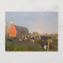 Suche nach ländlich postkarten Sonnenaufgang