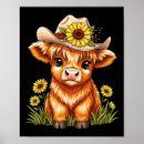 Suche nach süße kuh poster Highland
