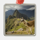 Suche nach picchu ornamente Inka