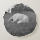 Suche nach felder kissen Für sie/ihn