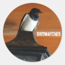 Suche nach birdwatcher Vogelvogel