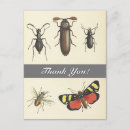 Suche nach vintage insekten karten Natur