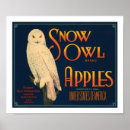 Suche nach marke poster Kiste