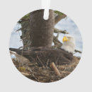 Suche nach tierentwurf Natur