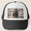 Suche nach sloth kappen Tierwelt