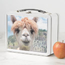 Suche nach lama brotdosen Für alle