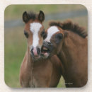 Suche nach waliser untersetzer Foto