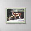 Suche nach kamel leinwandbilder Jede person