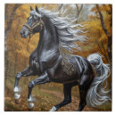 Suche nach schwarzes pferd fliesen Natur