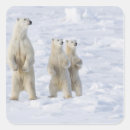 Suche nach churchill aufkleber Jung