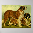 Suche nach bernard hund poster Vintag