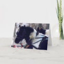 Suche nach gepunktetes pferd karten Schnee